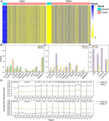 Discovered Key CpG Sites by Analyzing DNA Methylation and Gene Expression in Breast Cancer Samples